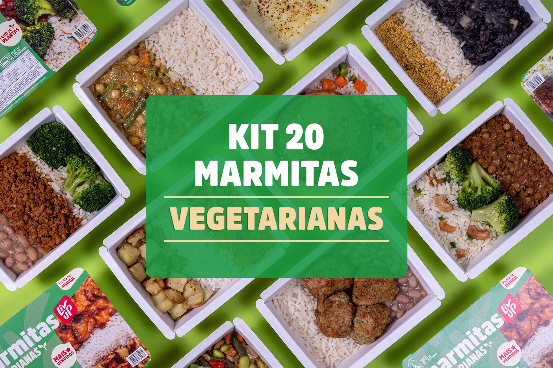 Kit 20 marmitas vegetarianas