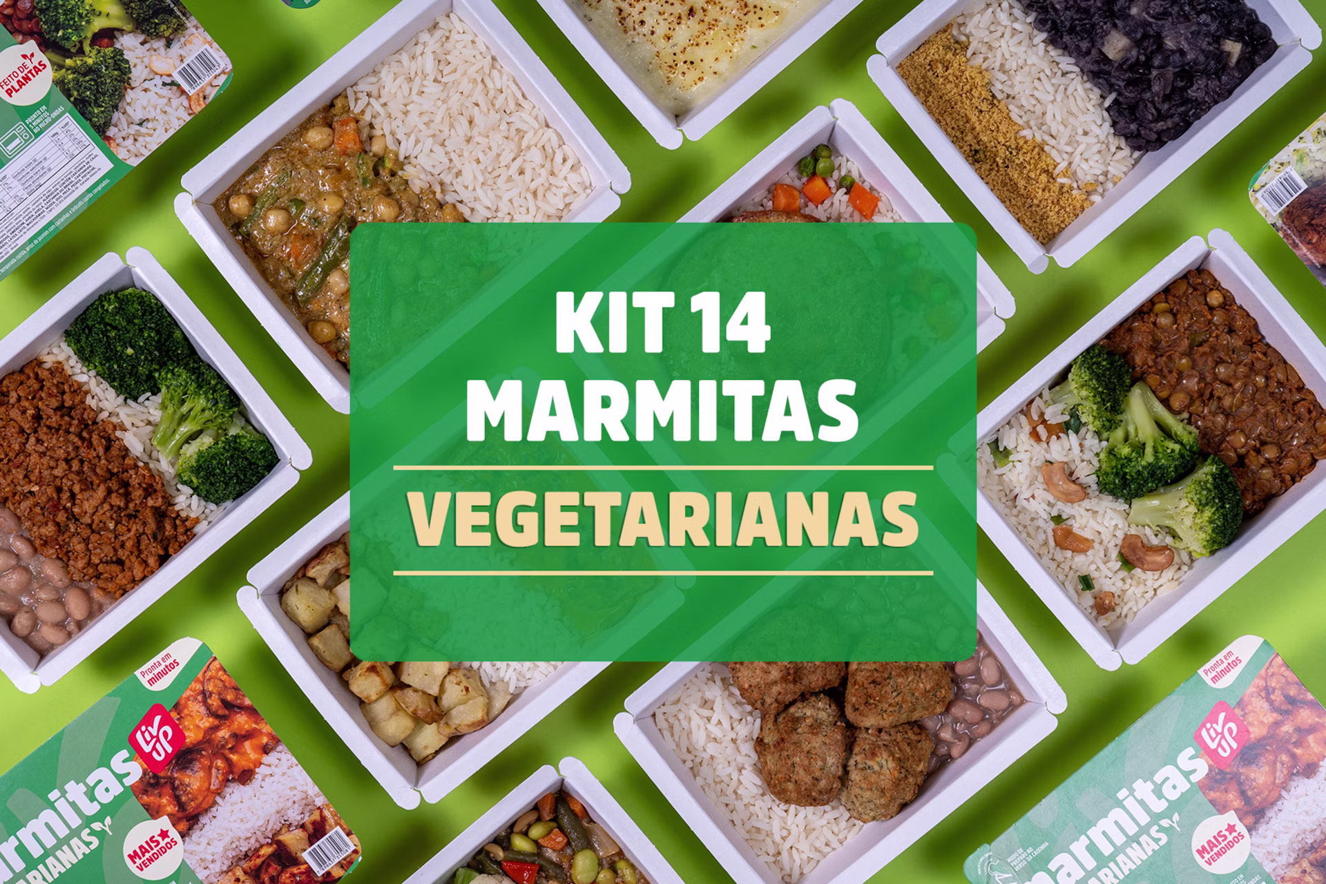 Kit 14 marmitas vegetarianas